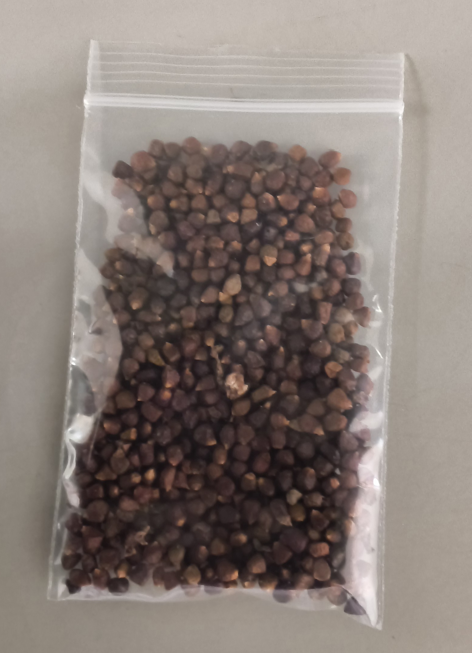 Pimienta de guinea